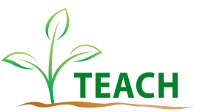 Teach Forms Logo